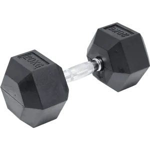 20KG Commercial Rubber Hex Dumbbell Gym Weight