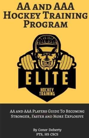 AA and AAA Hockey Training