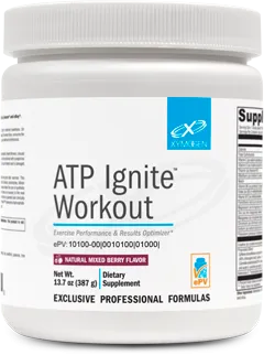 ATP IGNITE WORKOUT MIXED BERRY