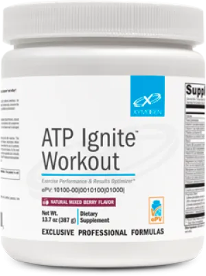 ATP IGNITE WORKOUT MIXED BERRY