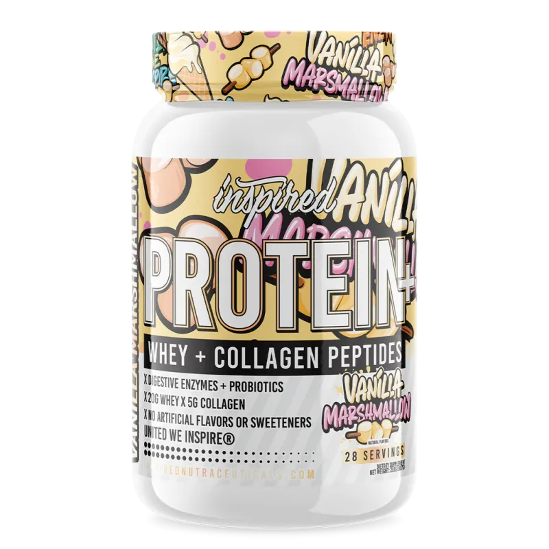 Protein 