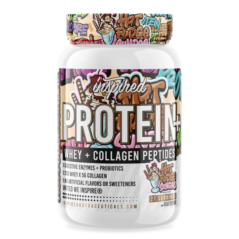 Protein 