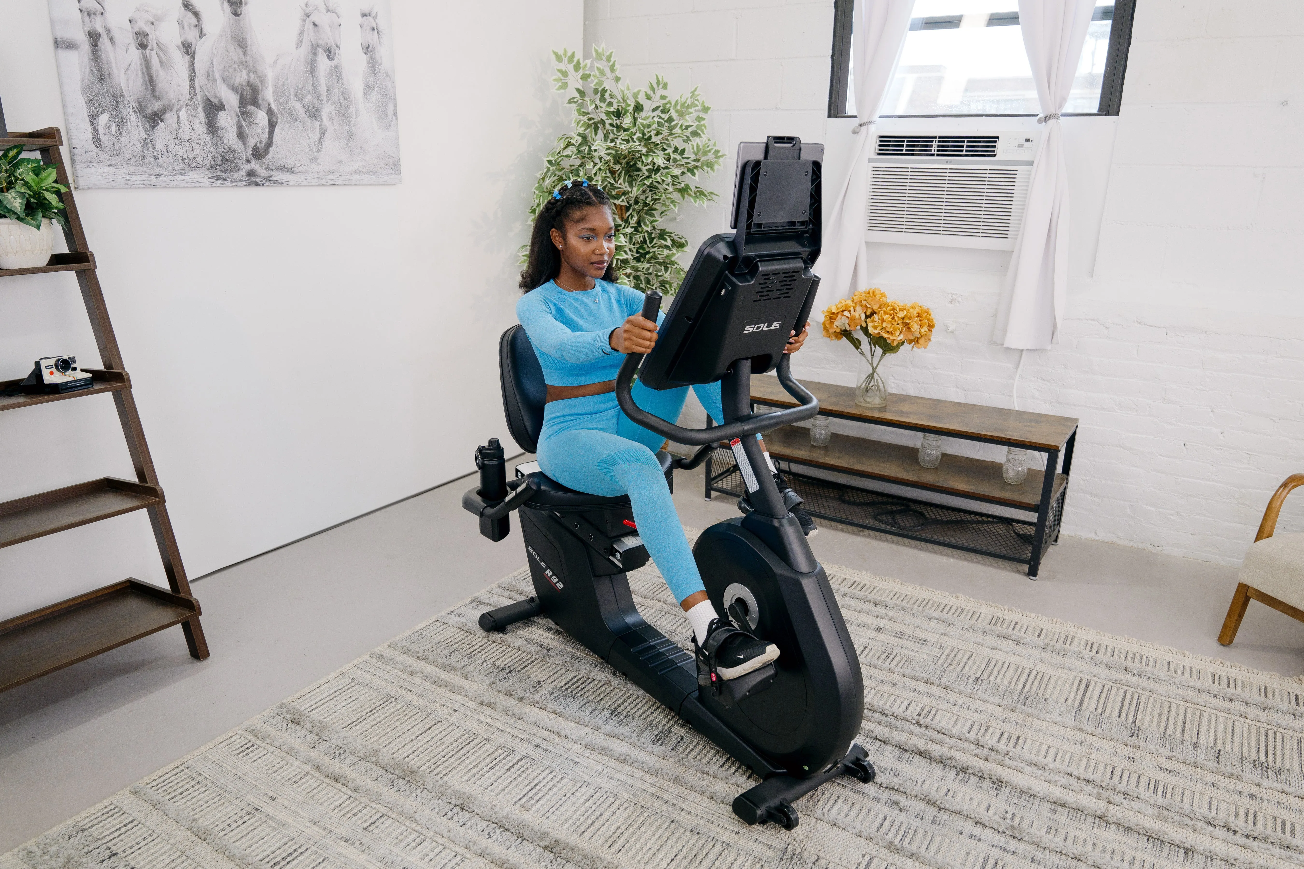 SOLE R92 Exercise Bike