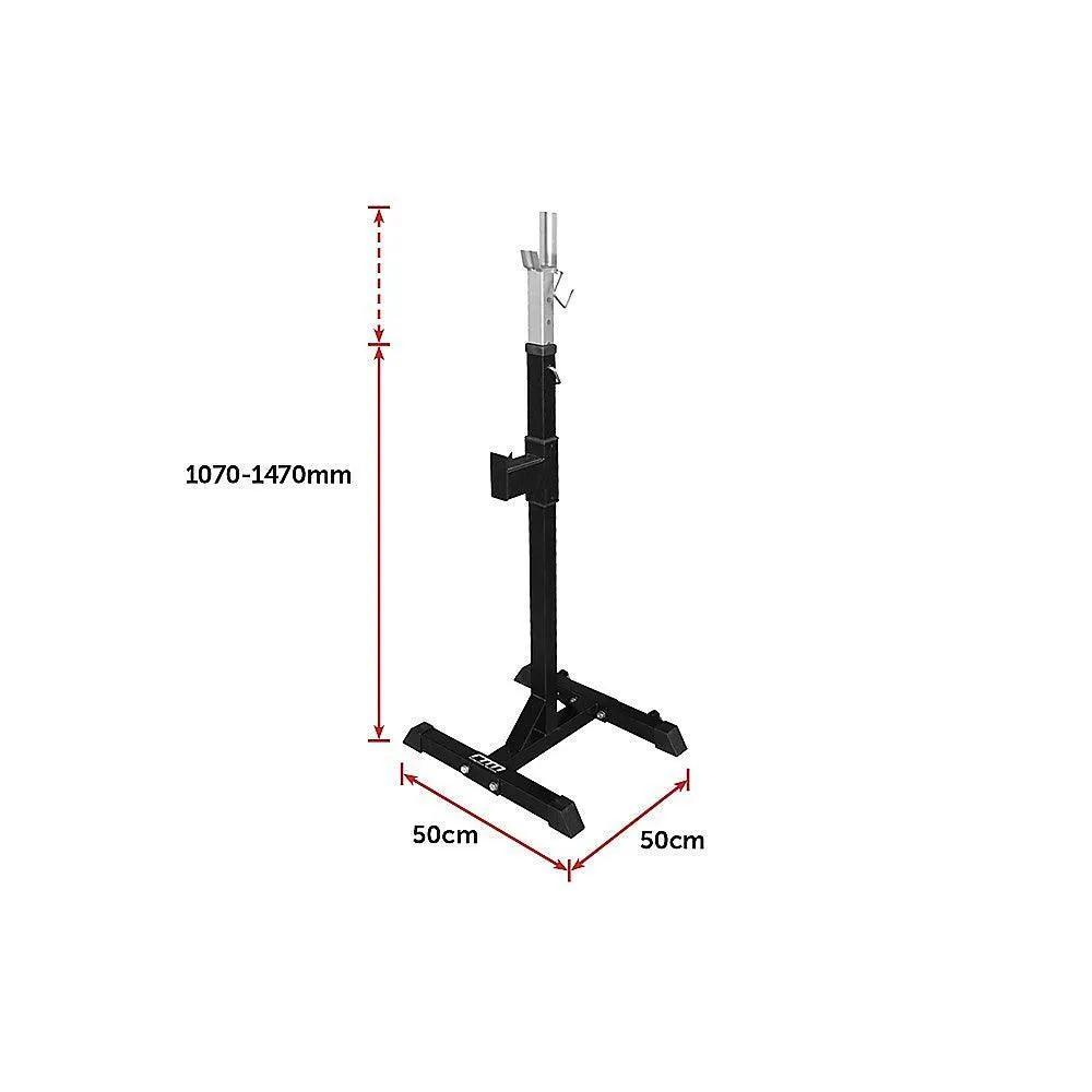 Squat/Bench Press Rack